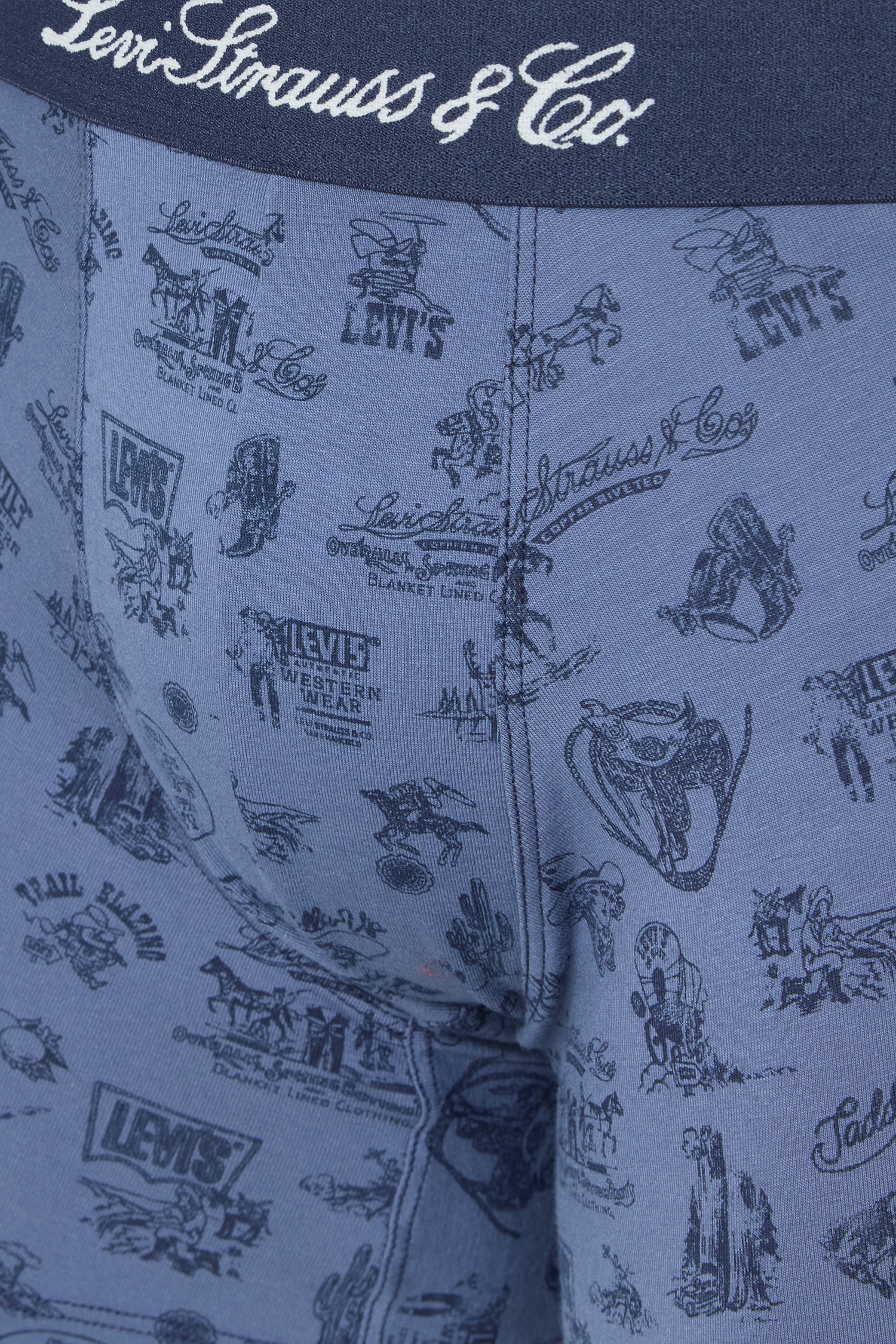 Чоловічі боксери (2 шт) Levi’s® 701235950;001