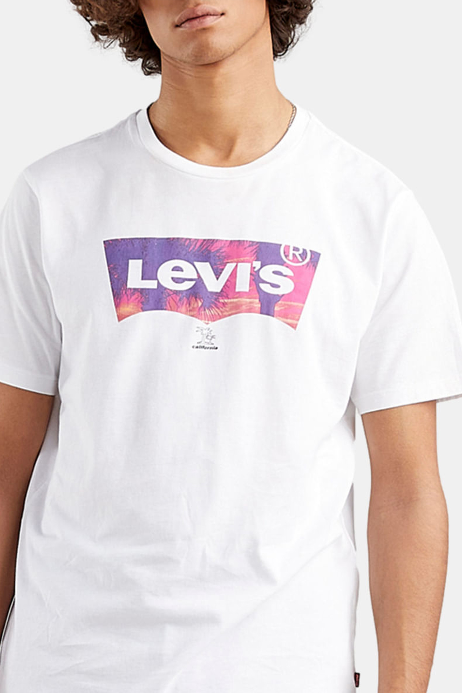 Мужская белая футболка Levi’s® 22491;1119 — Ultrashop