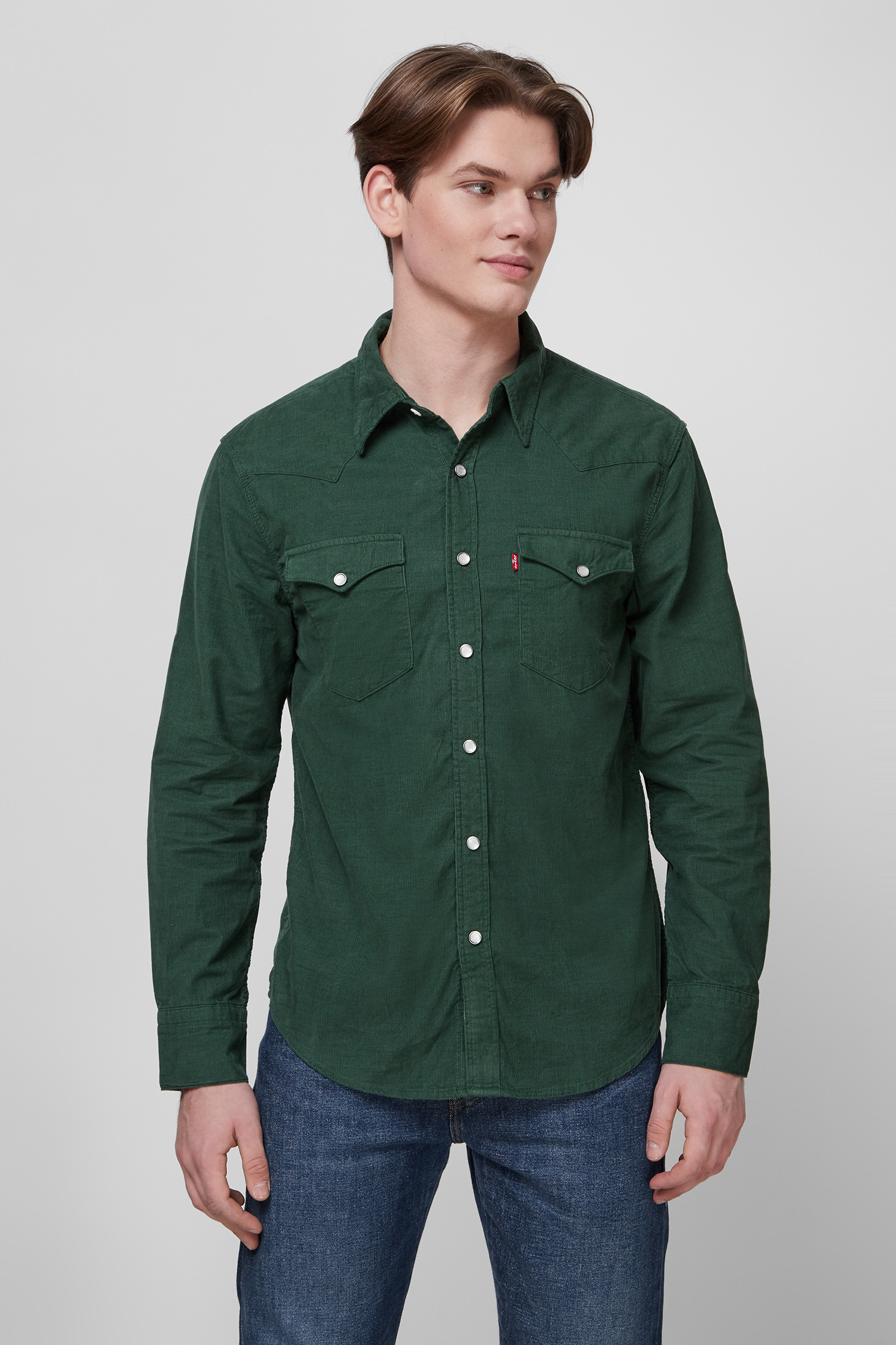 Зелена сорочка для хлопців Levi’s® 85744;0034