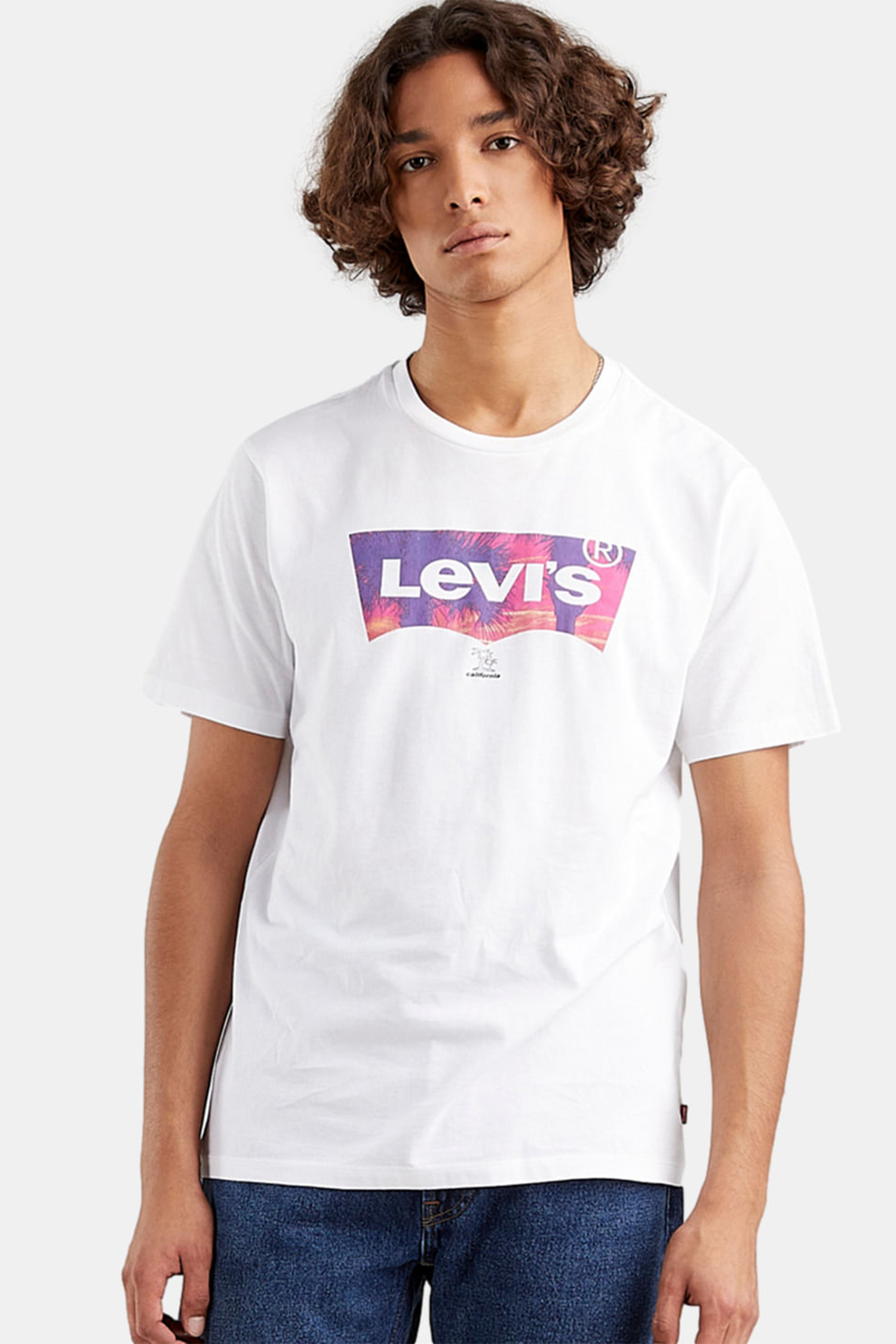 Мужская белая футболка Levi’s® 22491;1119