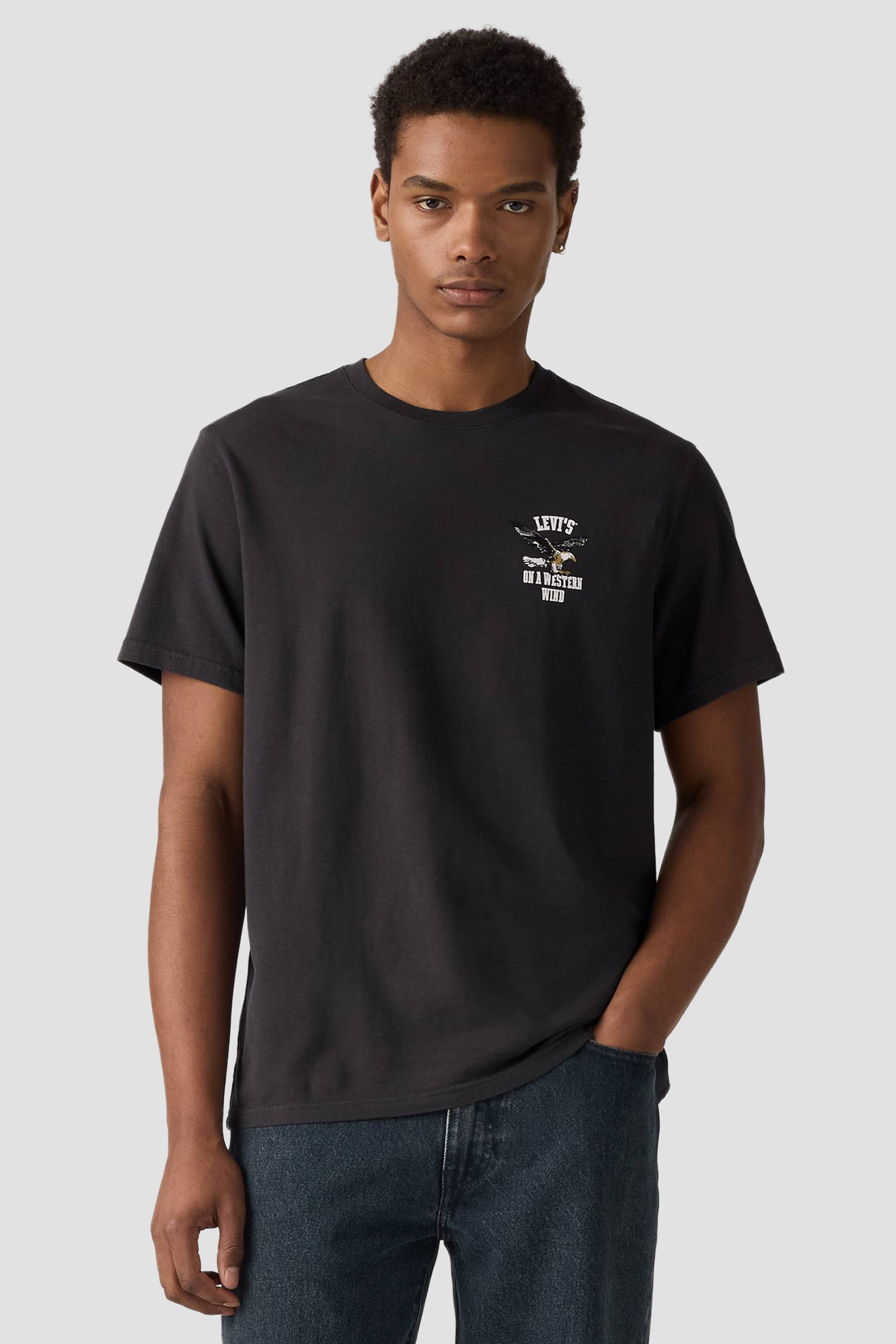 Мужская черная футболка Levi’s® 16143;2050