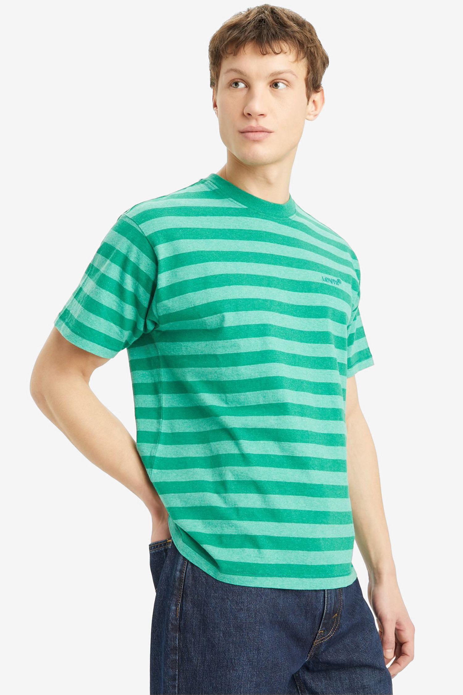 Мужская зеленая футболка в полоску Levi’s® A0637;0106