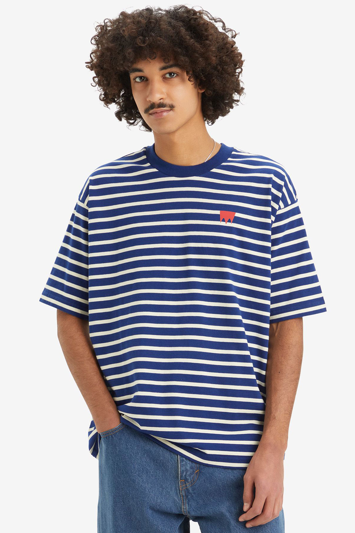 Мужская футболка в полоску Levi’s® A1005;0027
