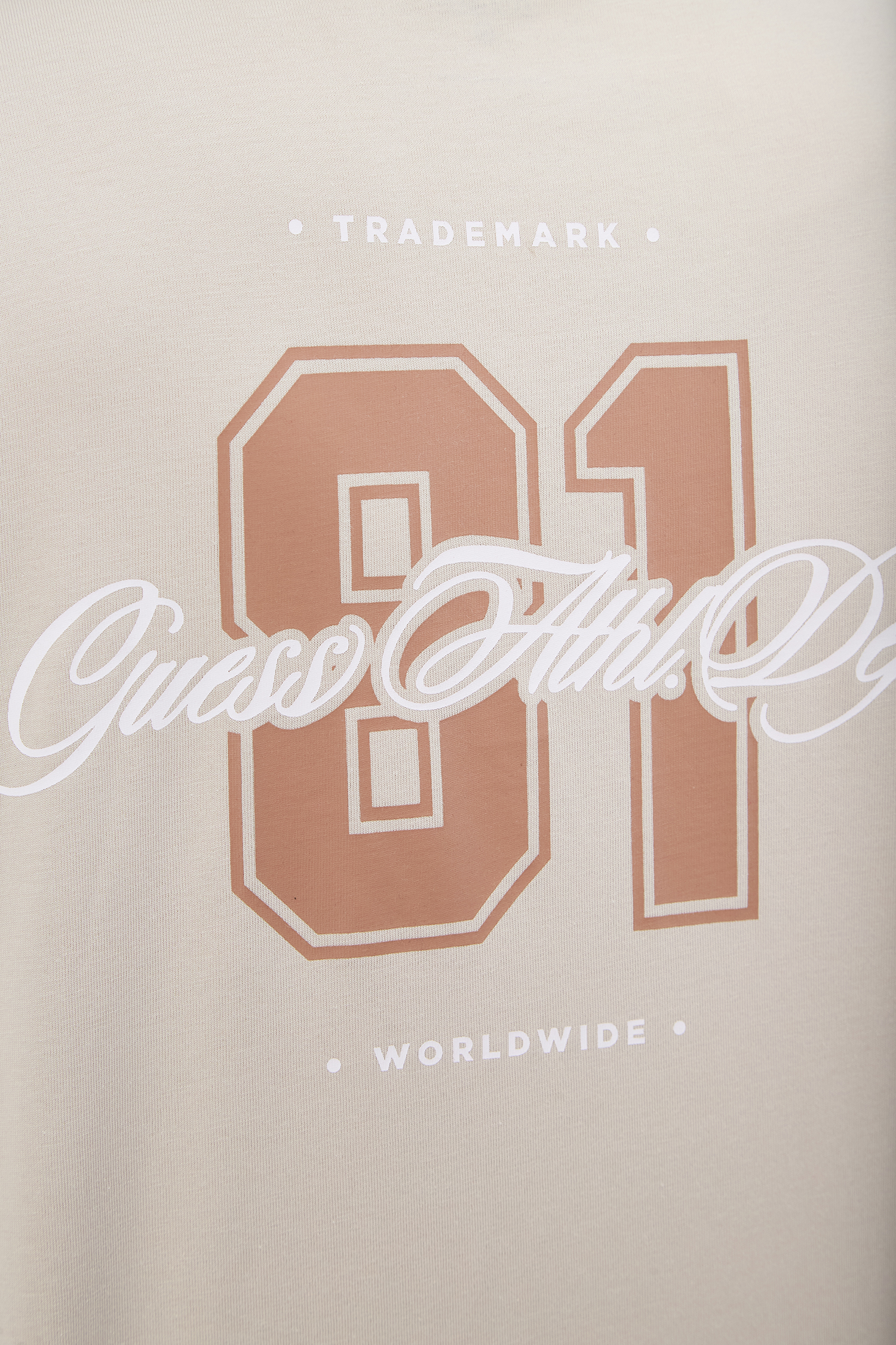 Мужская бежевая футболка Guess Z5RI02.I3Z14;G9H6