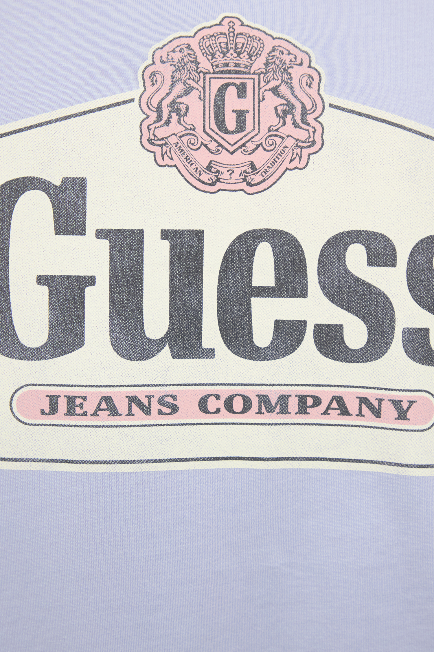 Мужская голубая футболка Guess Jeans M6RI38.K8HM0;G4T8