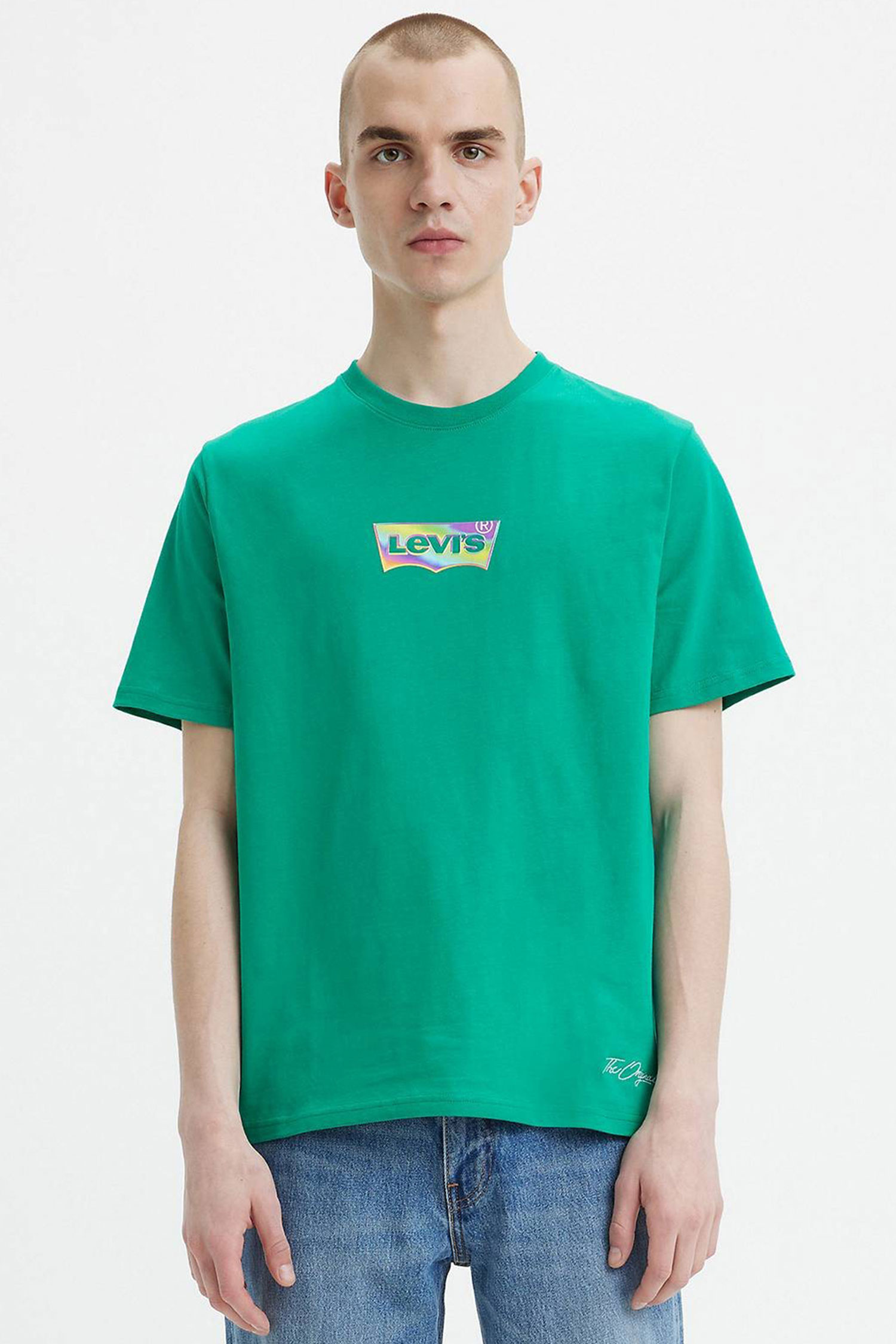 Мужская зеленая футболка Levi’s® 16143;0973