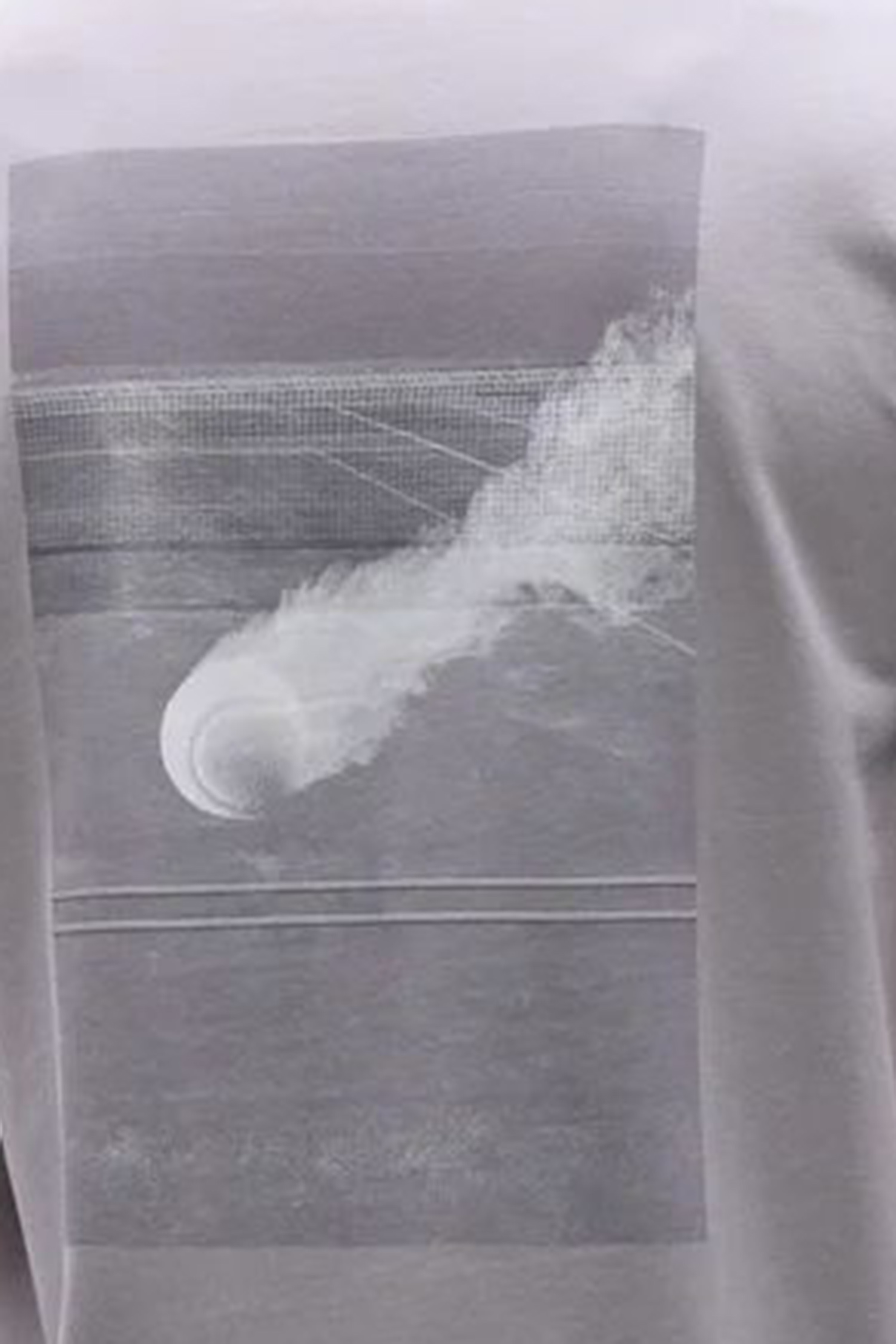 Чоловіча сіра футболка BOSS 50557354;063