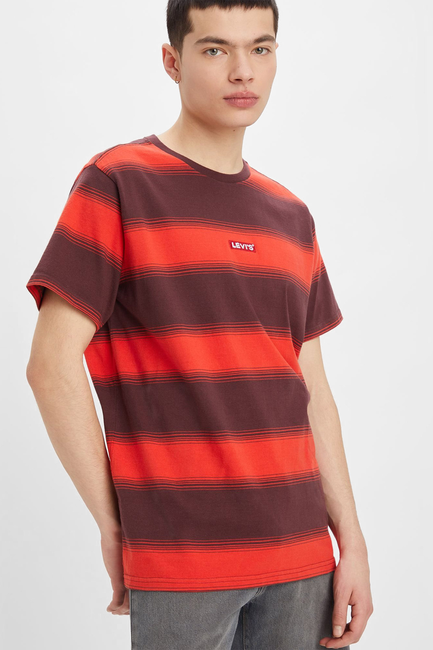 Мужская футболка в полоску Levi’s® 79554;0063 — Ultrashop