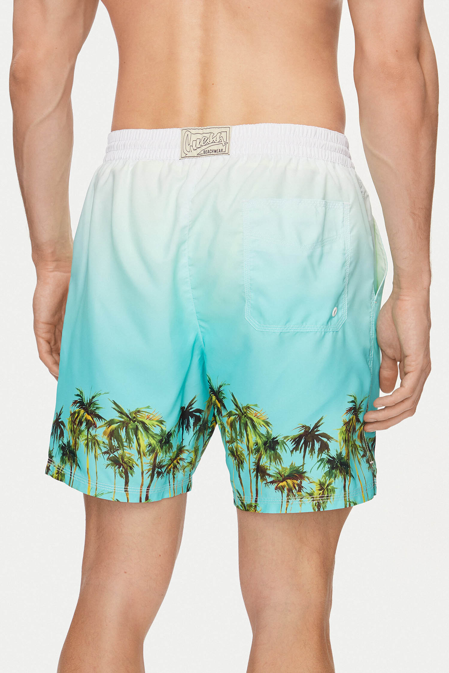 Чоловічі плавальні шорти Guess F4GT18.WG2A2;P7OS