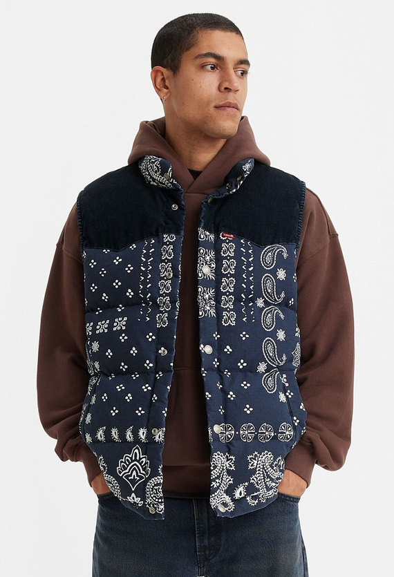 Мужской темно-синий жилет с узором Levi’s® A5634;0001 — Ultrashop