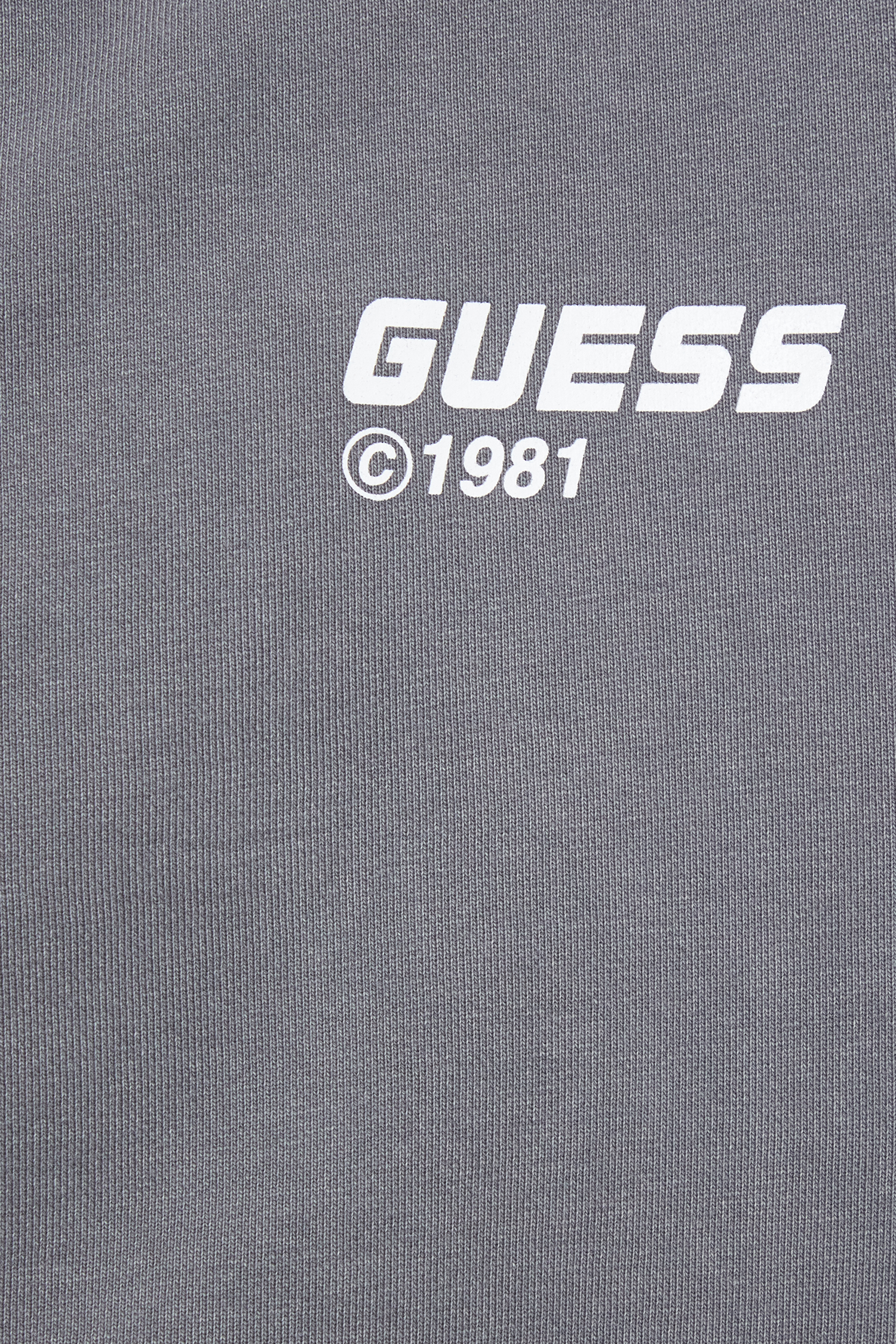 Чоловіча сіра спортивна кофта Guess Z6RQ11.KD371;A90L