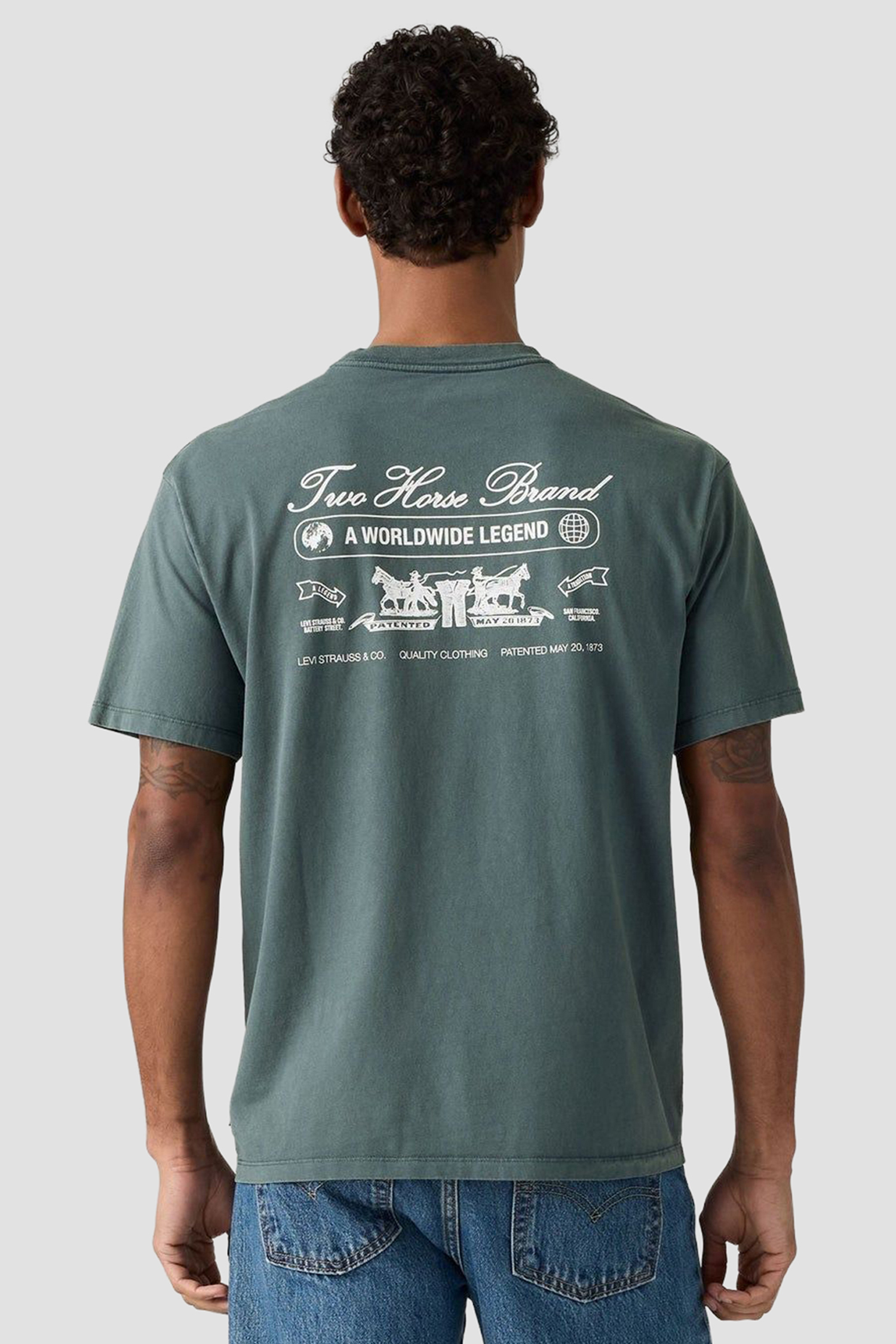 Мужская голубая футболка Levi’s® 005HV;0003