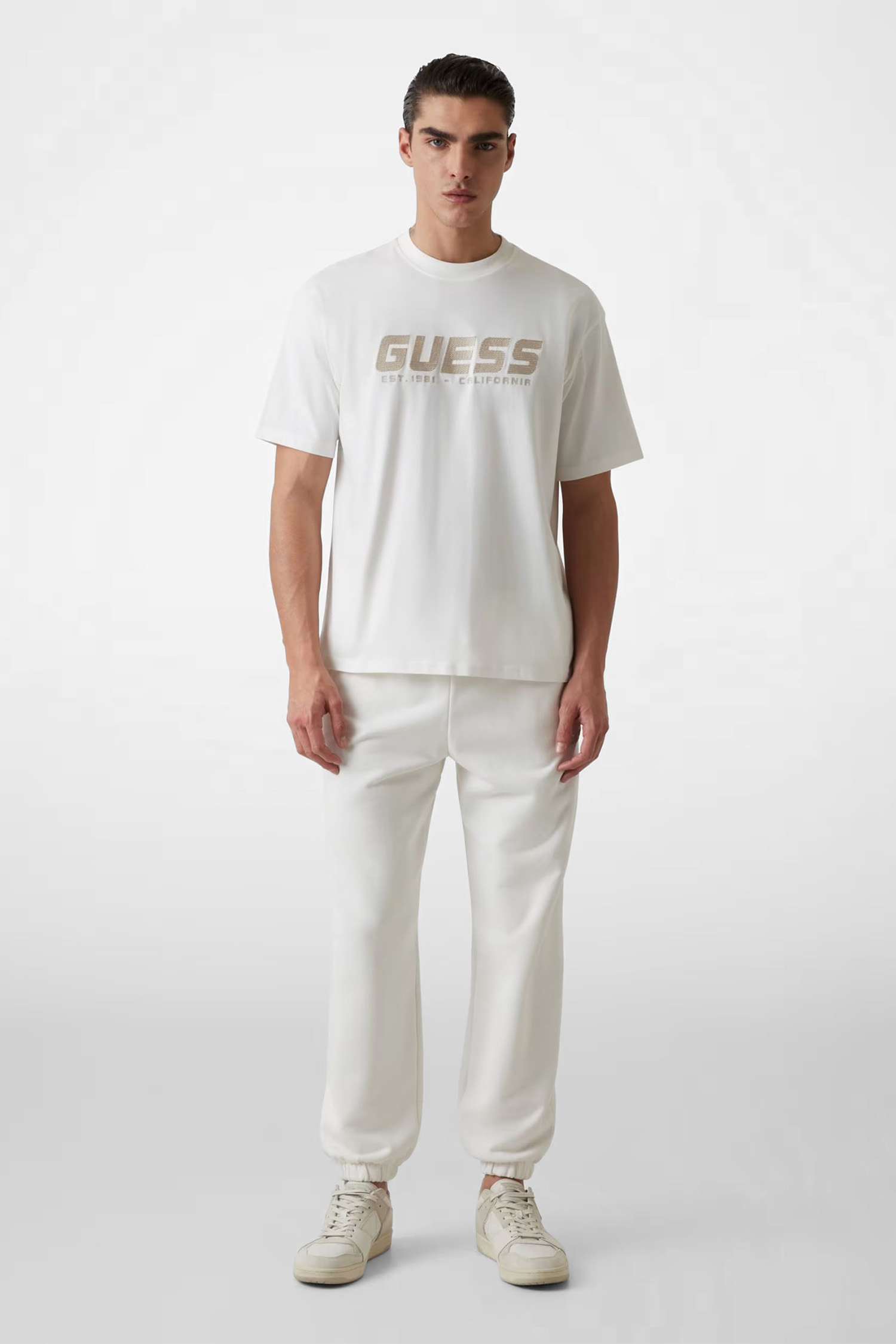 Мужская белая футболка Guess Z5RI10.I3Z14;G018