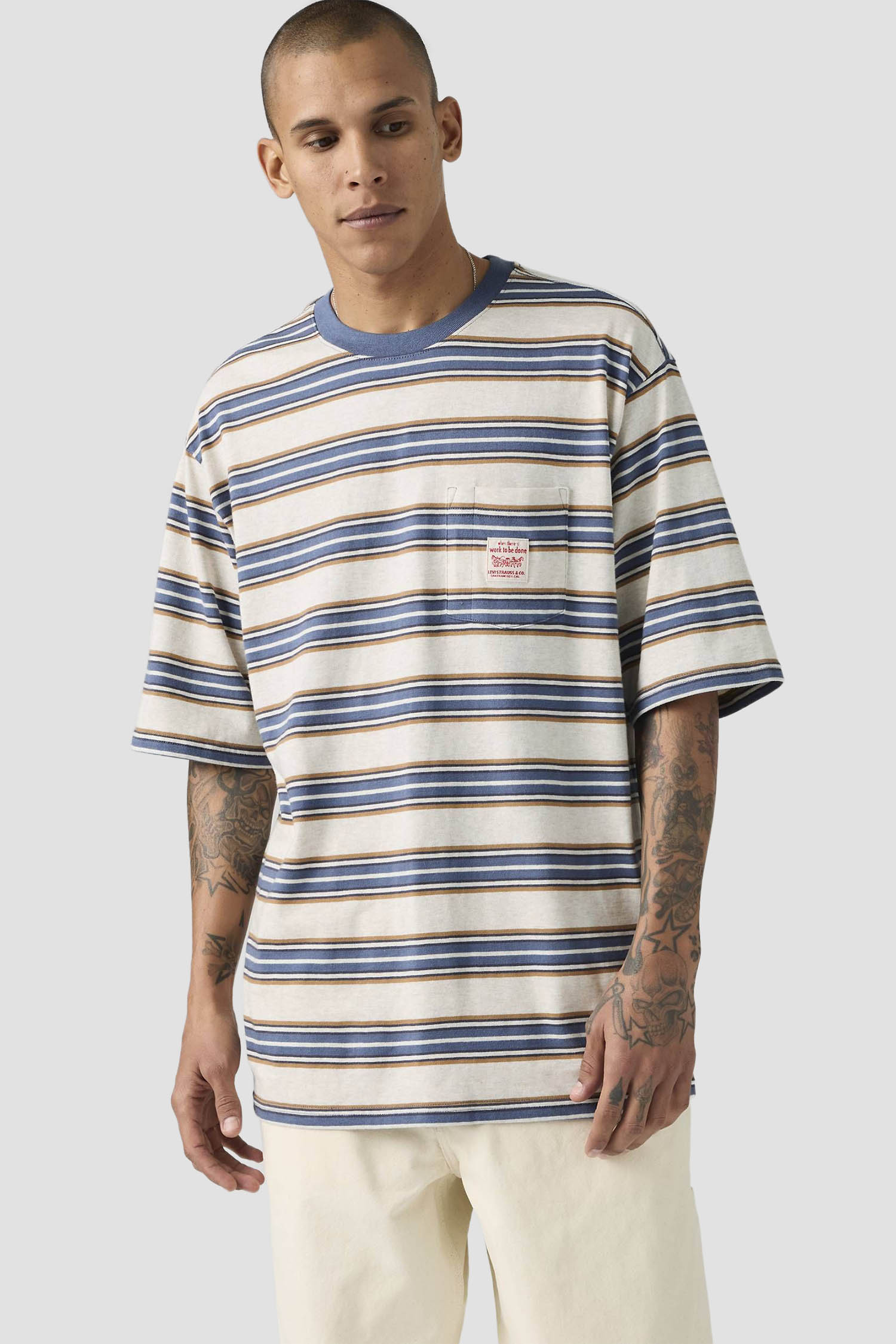 Чоловіча футболка у смужку Levi’s® A5850;0027