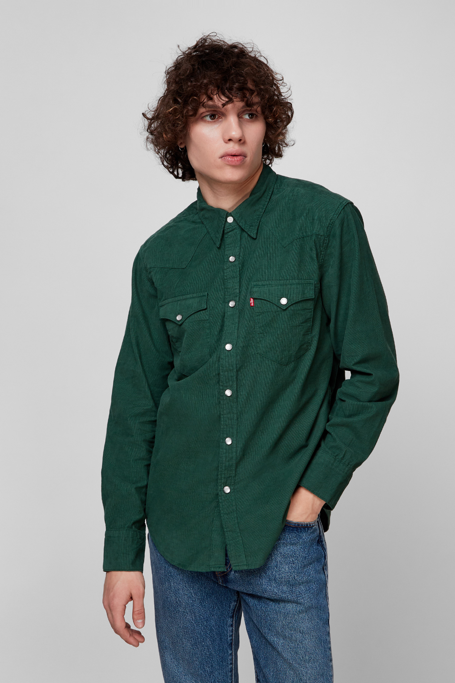 Мужская зеленая рубашка Levi’s® 85744;0034