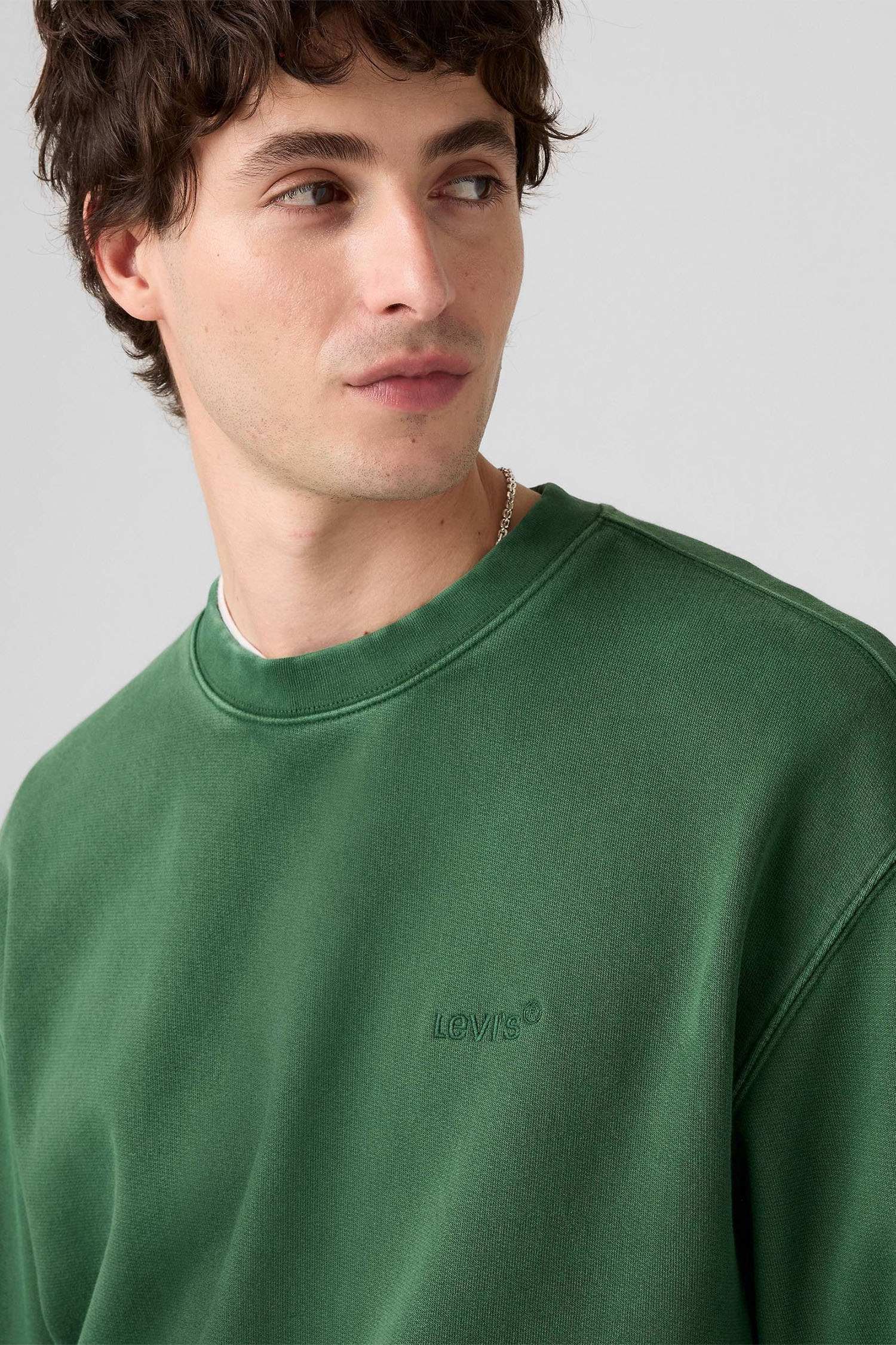 Мужской зеленый свитшот Levi’s® A9244;0036