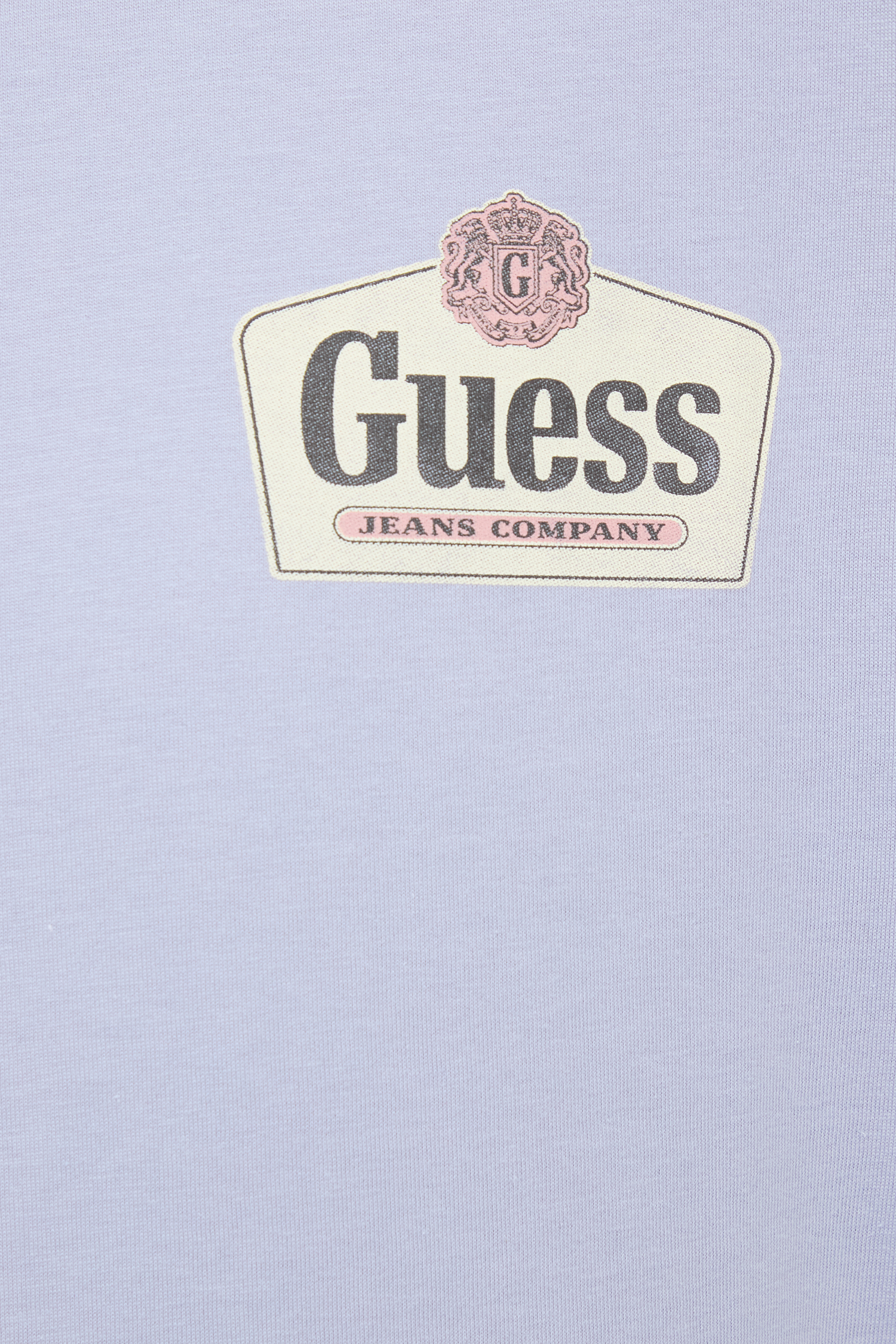 Мужская голубая футболка Guess Jeans M6RI38.K8HM0;G4T8