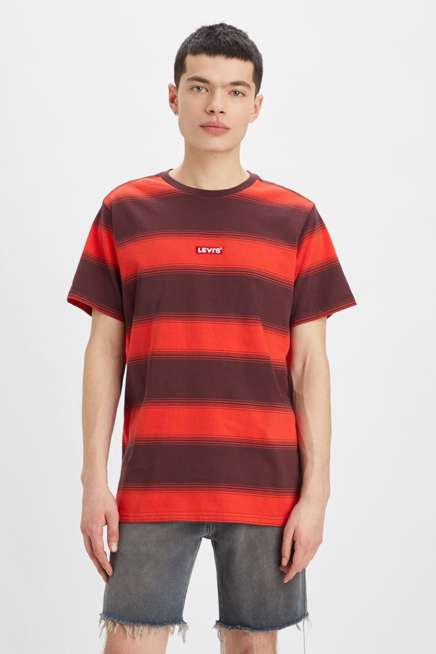 Мужская футболка в полоску Levi’s® 79554;0063 — Ultrashop