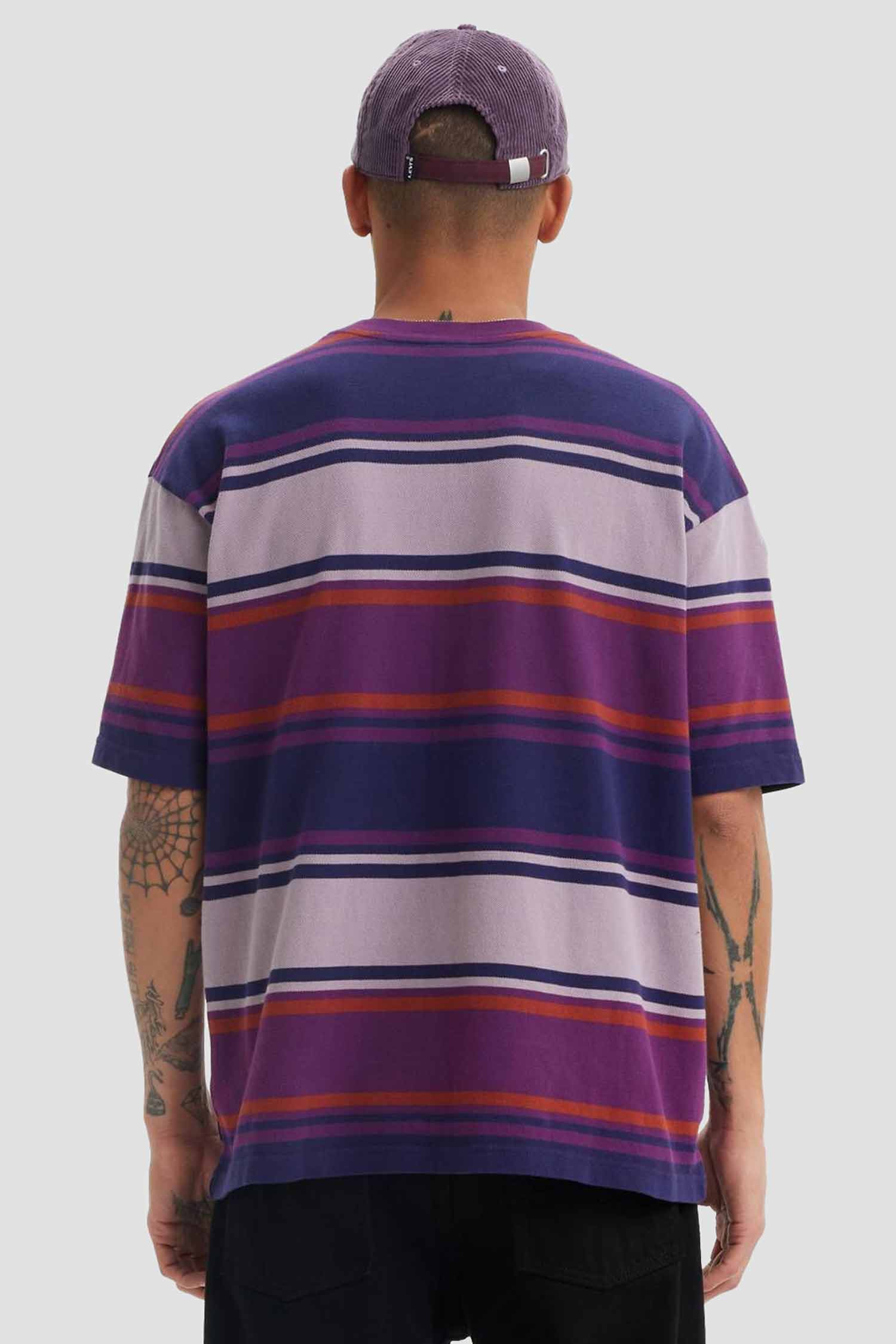 Мужская футболка в полоску Levi’s® A1005;0025