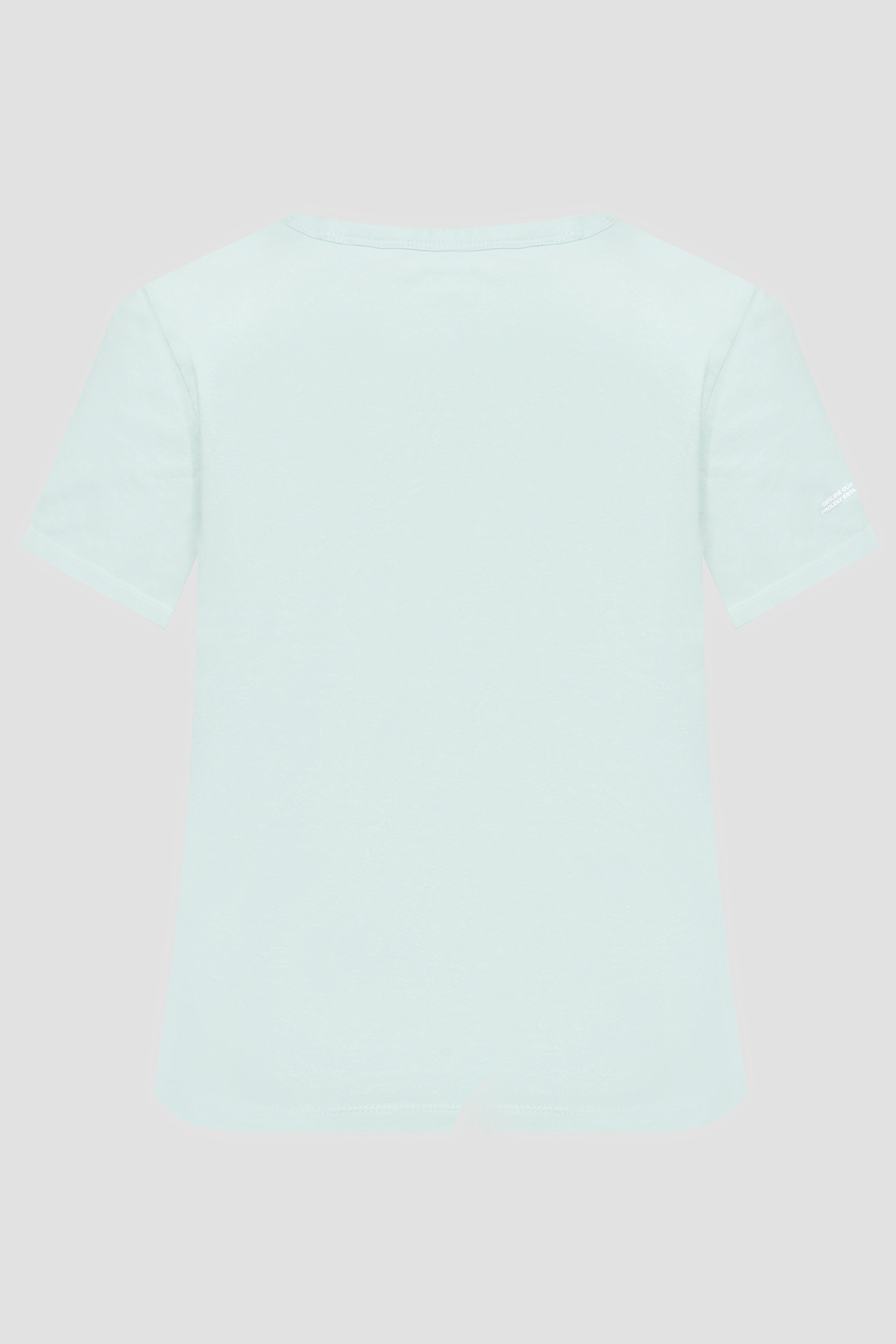 Женская мятная футболка Levi’s® 17944;0034