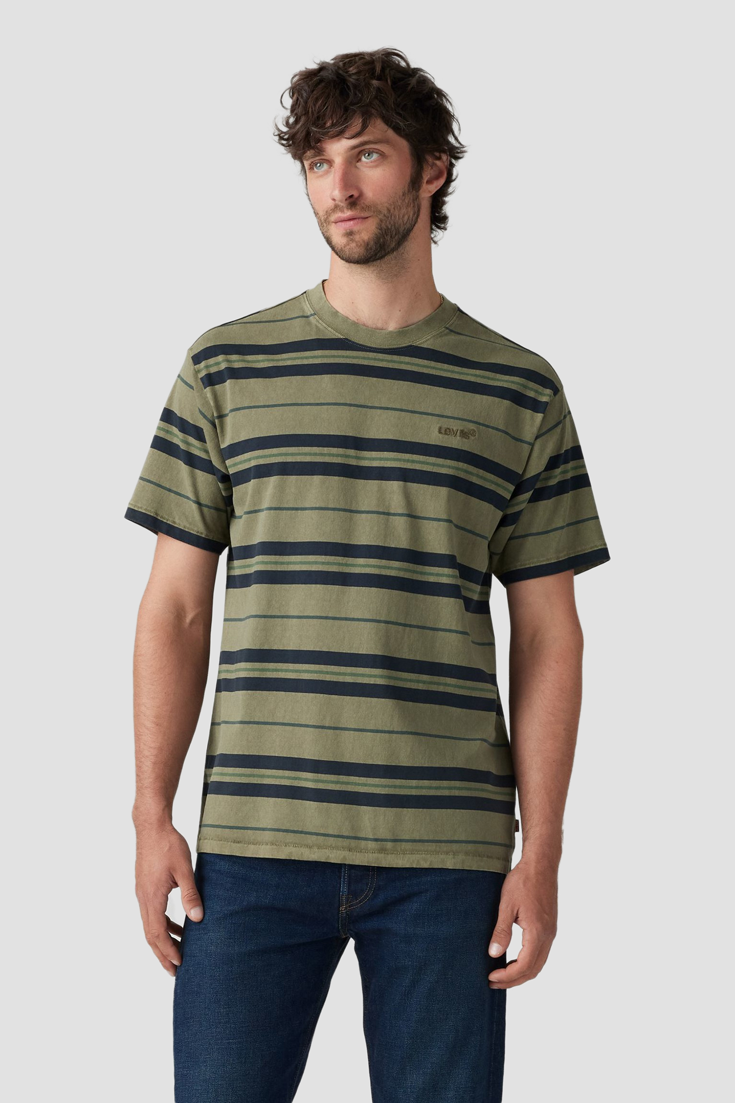 Мужская зеленая футболка в полоску Levi’s® A0637;0143