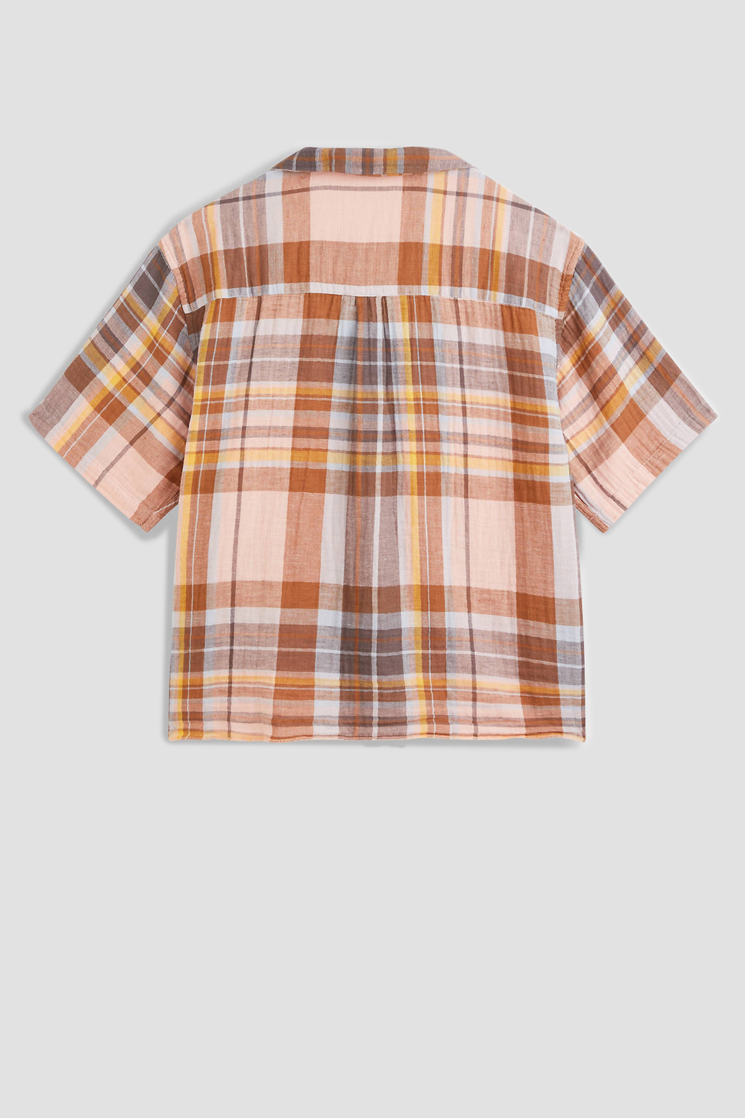 Мужская рубашка в клетку Levi’s® A1921;0001